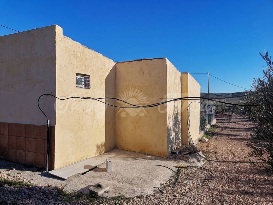 Landejendom i Yecla, Murcia - foto 3